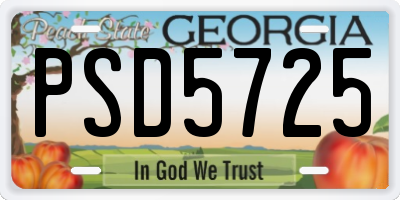 GA license plate PSD5725
