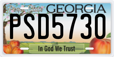 GA license plate PSD5730