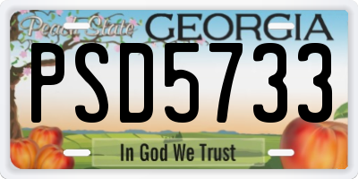 GA license plate PSD5733