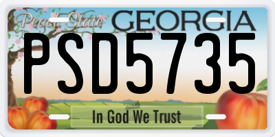 GA license plate PSD5735
