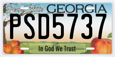 GA license plate PSD5737