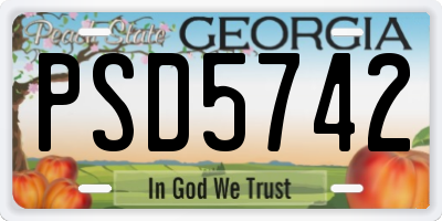 GA license plate PSD5742