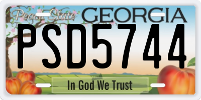 GA license plate PSD5744