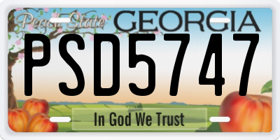 GA license plate PSD5747