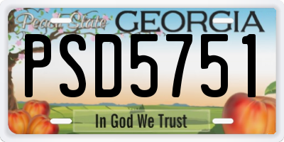 GA license plate PSD5751