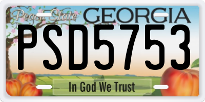 GA license plate PSD5753