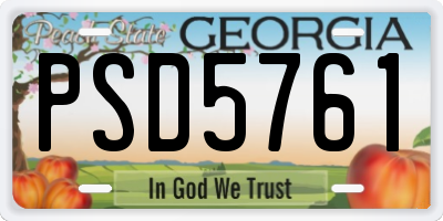 GA license plate PSD5761