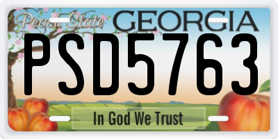 GA license plate PSD5763