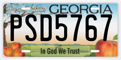 GA license plate PSD5767