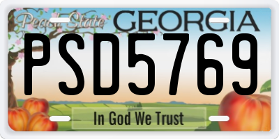GA license plate PSD5769