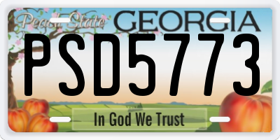 GA license plate PSD5773