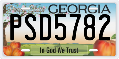 GA license plate PSD5782