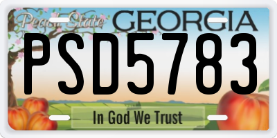 GA license plate PSD5783
