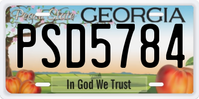 GA license plate PSD5784