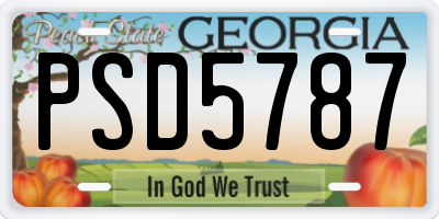GA license plate PSD5787