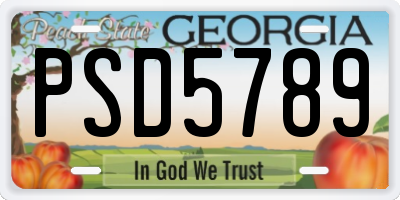 GA license plate PSD5789