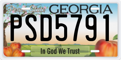 GA license plate PSD5791