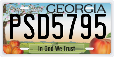 GA license plate PSD5795