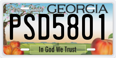 GA license plate PSD5801