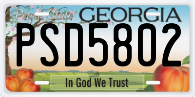 GA license plate PSD5802