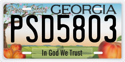 GA license plate PSD5803