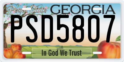 GA license plate PSD5807