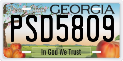 GA license plate PSD5809