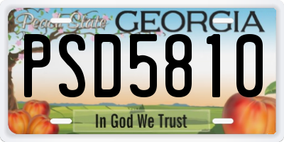 GA license plate PSD5810