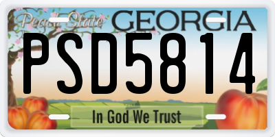 GA license plate PSD5814