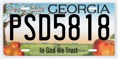 GA license plate PSD5818