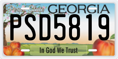 GA license plate PSD5819