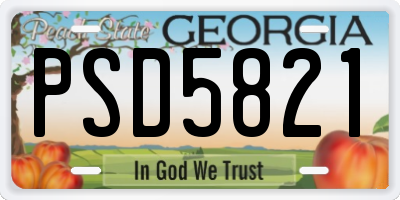 GA license plate PSD5821