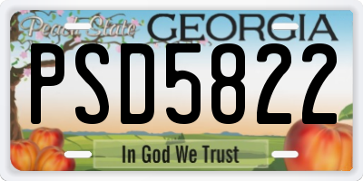 GA license plate PSD5822