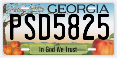 GA license plate PSD5825
