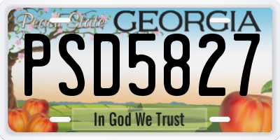 GA license plate PSD5827
