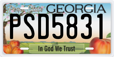 GA license plate PSD5831
