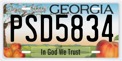 GA license plate PSD5834