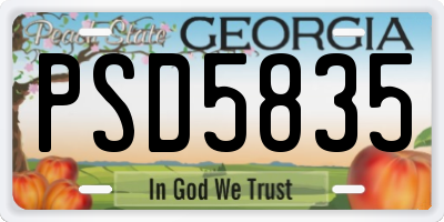 GA license plate PSD5835