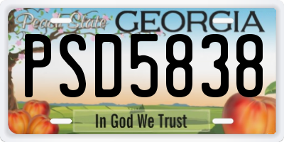 GA license plate PSD5838