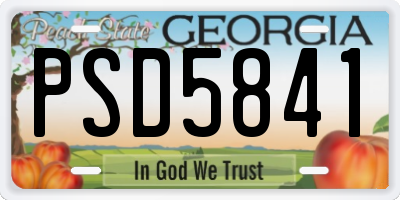 GA license plate PSD5841