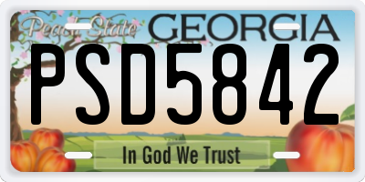 GA license plate PSD5842