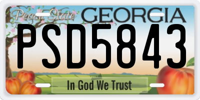 GA license plate PSD5843