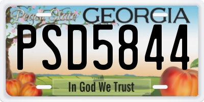 GA license plate PSD5844