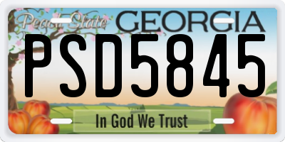 GA license plate PSD5845