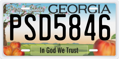 GA license plate PSD5846