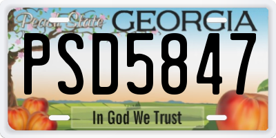 GA license plate PSD5847