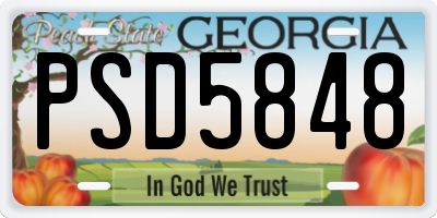 GA license plate PSD5848