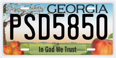 GA license plate PSD5850