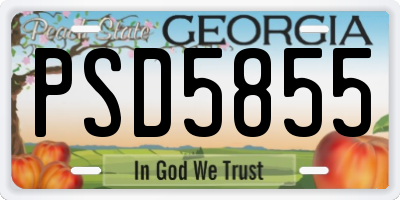 GA license plate PSD5855