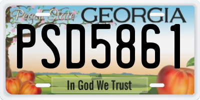 GA license plate PSD5861